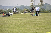 Parco San Giuliano  - 186